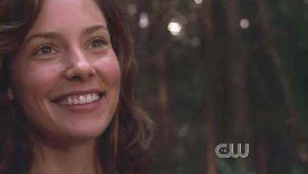 SMALLVILLE 6x3 WITHER