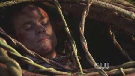 SMALLVILLE 6x3 WITHER