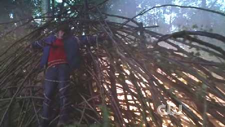 SMALLVILLE 6x3 WITHER