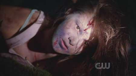 SMALLVILLE 6x3 WITHER