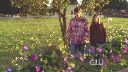 SMALLVILLE 6x6 FALLOUT