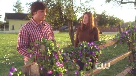 SMALLVILLE 6x6 FALLOUT